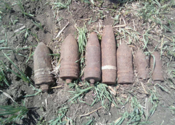 В Новобугском и Витовском районе Николаевщины обнаружили 10 старых артснарядов (ФОТО)