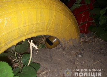 30-летний николаевец спрятал от матери гранату на детской площадке