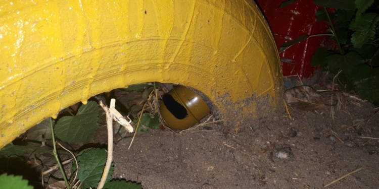 30-летний николаевец спрятал от матери гранату на детской площадке