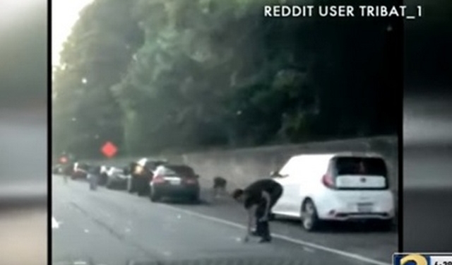 Дождь из денег: на трассу в США посыпались доллары (ВИДЕО)