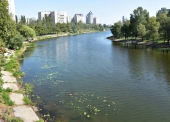 В Русановском канале Киева мужчина пытался утопить пенсионерку