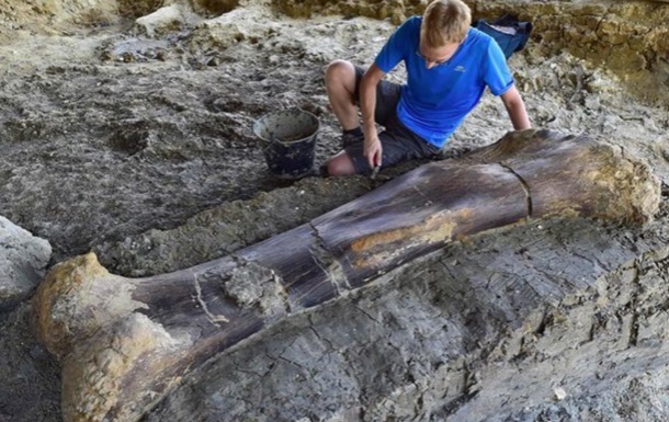 Ученые заявили о найденной кости крупнейшего зверя в истории 1