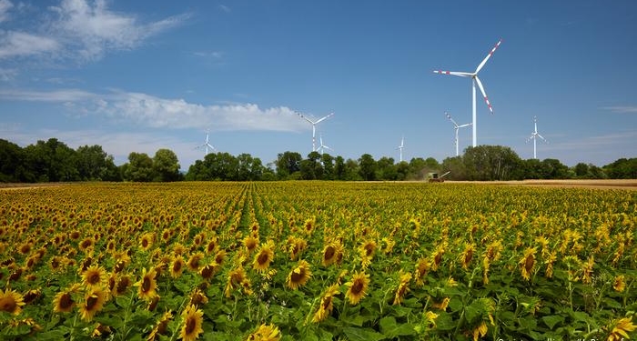 В Германии доля «зеленой энергетики» превысила генерацию ТЭС и АЭС
