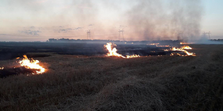 Пожарные Николаевщины потушили 17 пожаров на отрытых территориях (ФОТО)