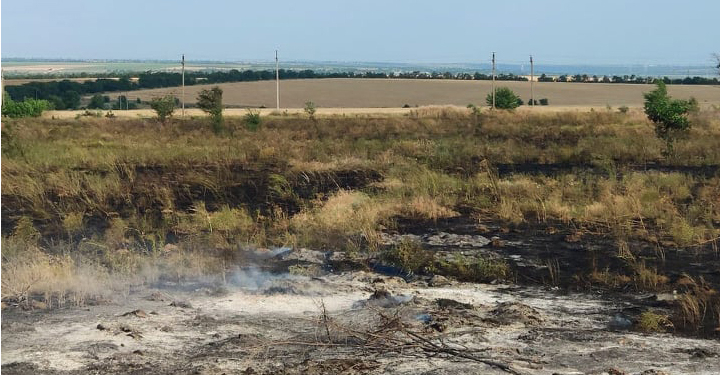 В Николаевской области за вчерашний день выгорело 40 га открытой территории – пожарным удалось спасти жилые дома и поле с пшеницей (ФОТО)