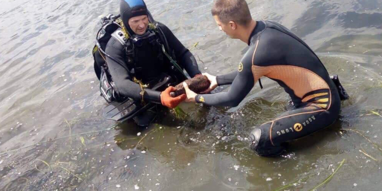 В Вознесенске во время купания люди обнаружили два артснаряда – спасатели обезвредили взрывоопасные находки (ФОТО)