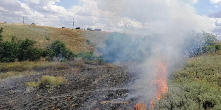 На Николаевщине опять тушили пожары в экосистемах – огонь прошел 15 га (ФОТО)