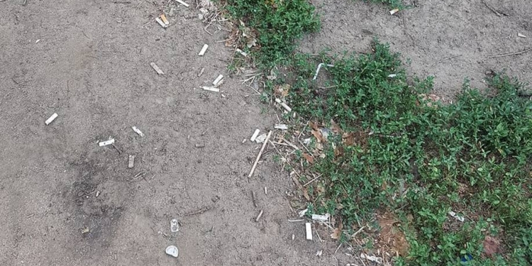 Сквер и детская площадка возле администрации Корабельного района утопают в мусоре (ФОТО, ВИДЕО)