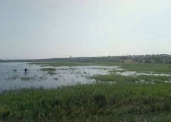 На Николаевщине в пруду утонул пастух (ФОТО)