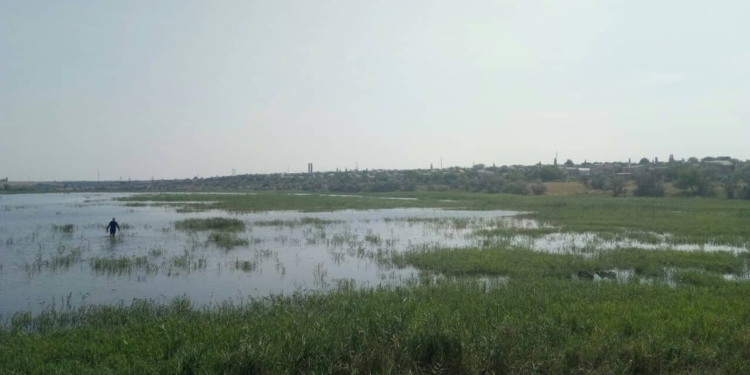 На Николаевщине в пруду утонул пастух (ФОТО)