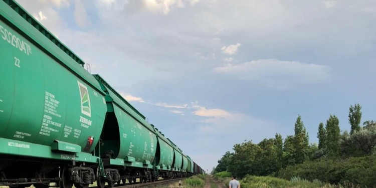 Двух жителей Николаева задержали за регулярные кражи топлива на железной дороге. Их поймали «на горячем» (ФОТО)