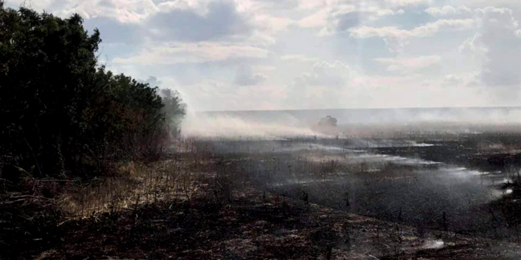 За сутки на Николаевщине выгорело 18 га открытой территории – пожарным удалось спасти 20 уликов и лес (ФОТО)
