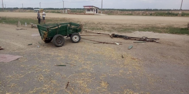 На Николаевщине грузовой  Sprinter врезался в конную подводу, один человек погиб (ФОТО)