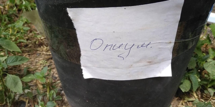 На Николаевщине полция выявила плантацию конопли с лабораторией по производству каннабиса (ФОТО)