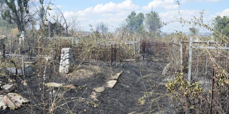 В Николаеве опять горел старый некрополь (ФОТО)
