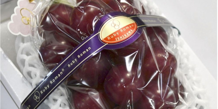 Суперстандарт. В Японии гроздь винограда продали за $11 тысяч (ФОТО)