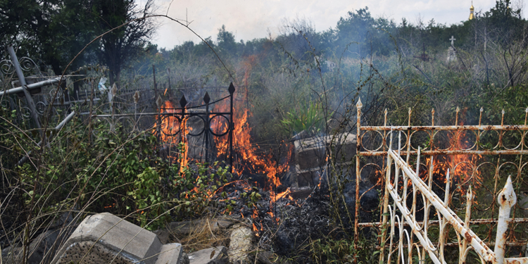 В Николаеве пожар на старом некрополе тушили больше часа – сгорело 0,5 га территории (ФОТО, ВИДЕО)