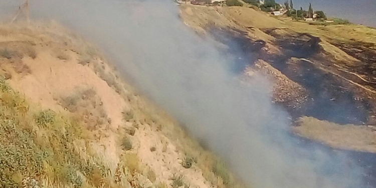 Горим: за прошедшие сутки пожарные Николаевщины потушили 19 пожаров на 19 га в природных экосистемах (ФОТО)