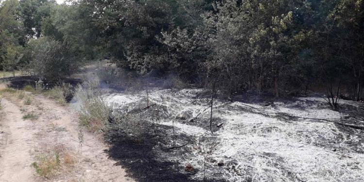 За минувшие сутки на Николаевщине выгорело 8,5 га открытой территории (ФОТО)