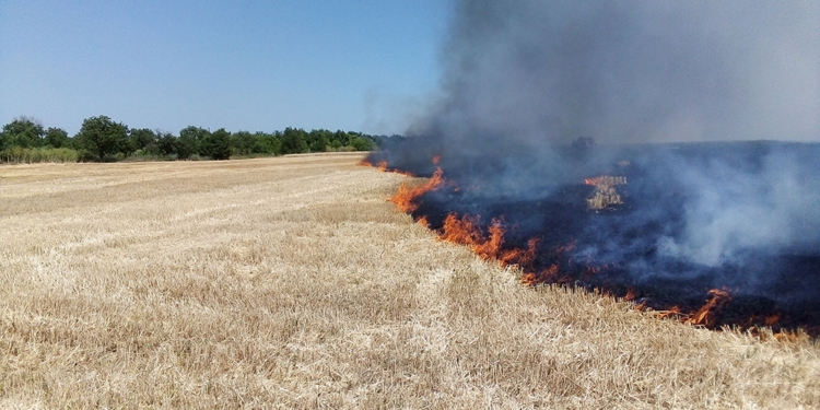 За минувшие сутки на Николаевщине выгорело 49 га открытой территории (ФОТО)