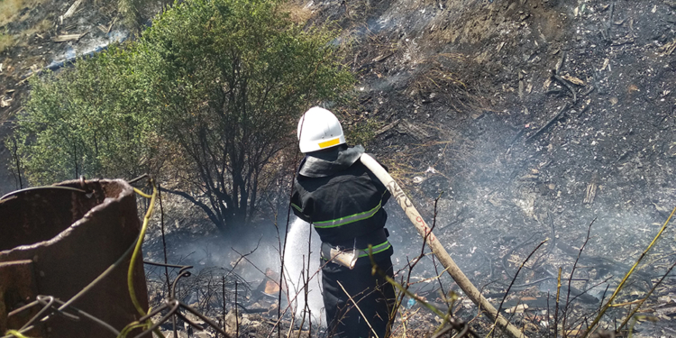 В Николаевской области за сутки выгорело 17,5 га открытых территорий (ФОТО)