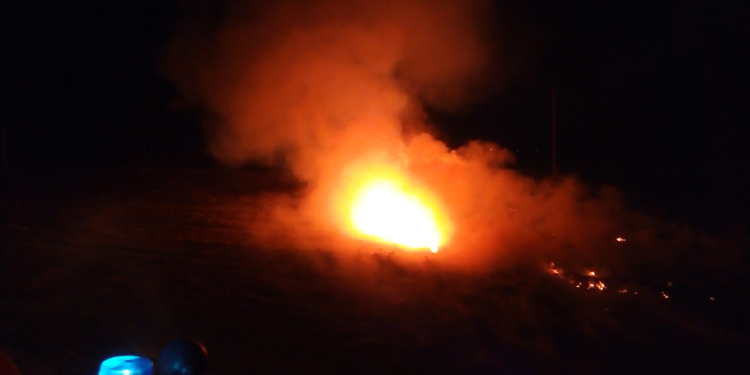 В Николаеве горело сено, а под Николаевом – стерня и лесопосадка на площади 26 га (ФОТО)