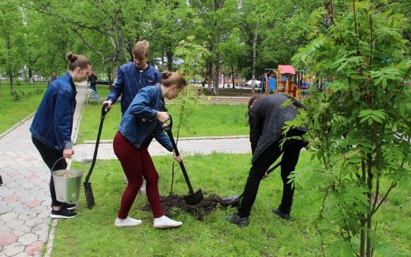 Выпускникам николаевских школ предложили завести новую традицию – высаживать деревья по окончанию учебы