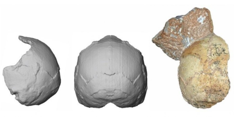 В греческой пещере нашли древнейшие останки человека