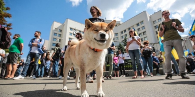 Под КСУ устроили акцию против отмены декоммунизации
