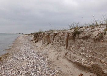 Для сохранения пляжей Кинбурна: НПП “Белобережье Святослава” создает специальные дорожки для отдыхающих (ФОТО)