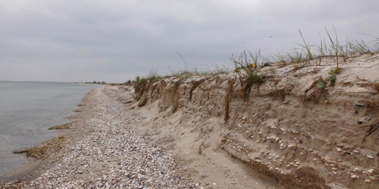 Для сохранения пляжей Кинбурна: НПП “Белобережье Святослава” создает специальные дорожки для отдыхающих (ФОТО)