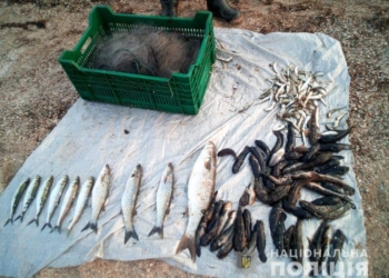 Полицейские поймали в Березанском районе браконьера с незаконным уловом (ФОТО)