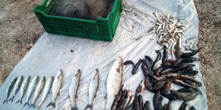 Полицейские поймали в Березанском районе браконьера с незаконным уловом (ФОТО)