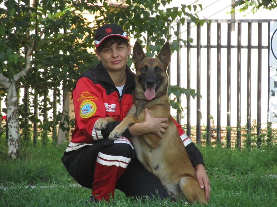 Единственная. В ТОП-100 лучших спасательных собак мира вошла такса Крис и три овчарки из Украины (ФОТО) 5