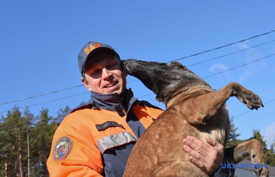 Единственная. В ТОП-100 лучших спасательных собак мира вошла такса Крис и три овчарки из Украины (ФОТО) 3
