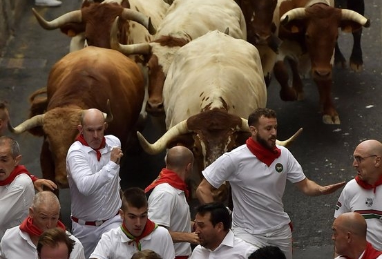 В Испании состоялся экстремальный забег с быками: есть пострадавшие (ФОТО, ВИДЕО)