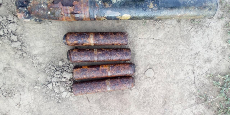 На Кинбурнской косе обнаружили 5 старых артснарядов (ФОТО)