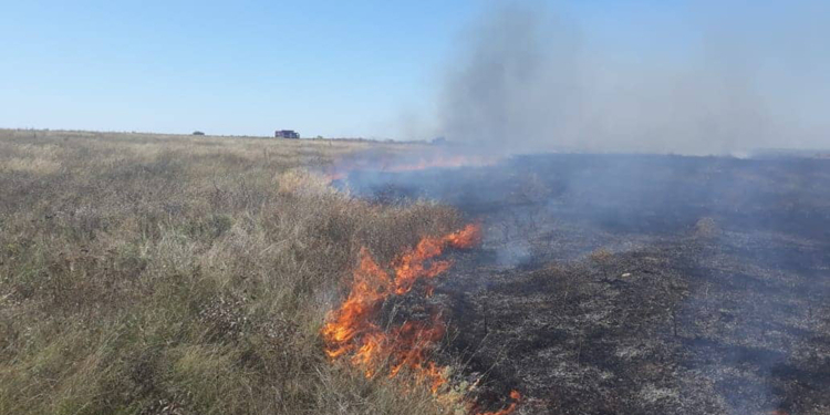 За прошедшие сутки спасатели Николаевщины потушили 5 пожаров на открытых территориях (ФОТО)