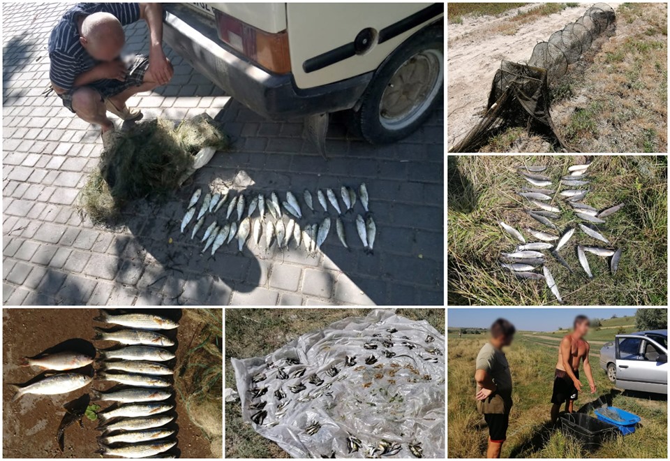 Николаевский рыбоохранный патруль поймал браконьеров, нанесших ущерб рыбному хозяйству Украины на почти 50 тыс.грн. (ФОТО) 1