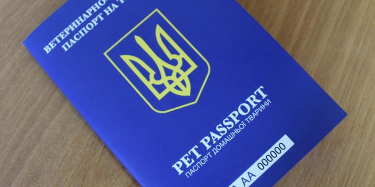 Собираетесь со своим четвероногим любимцем за границу? Нужен ветпаспорт нового образца (ФОТО)