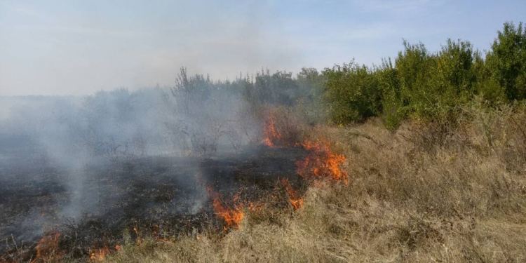 Лес и не только: на Николаевщине за сутки выгорело 32,5 га открытых территорий (ФОТО)