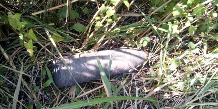 На Николаевщине на берегу Ингула нашли старый артснаряд (ФОТО)