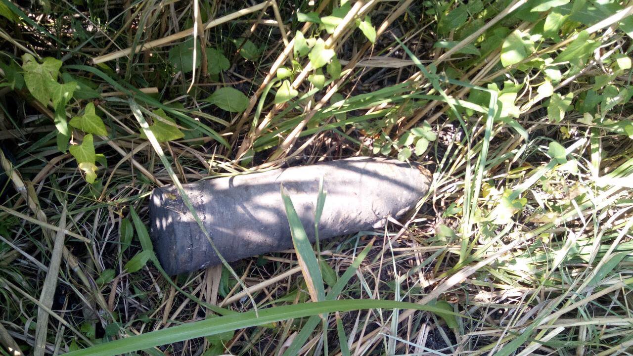 На Николаевщине на берегу Ингула нашли старый артснаряд (ФОТО)