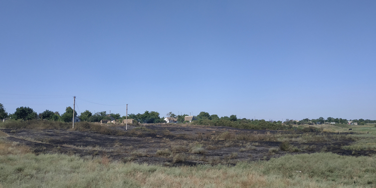 За сутки на Николаевщине сгорело 20 га открытых территорий (ФОТО)