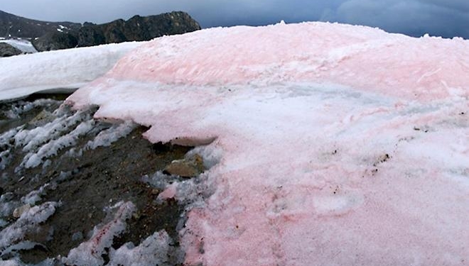 В Арктике со снегом выпадают частички пластика и резиновых шин – ученые (ВИДЕО)
