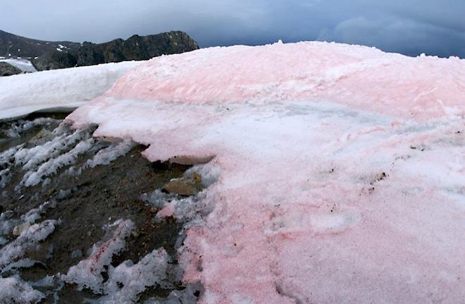 В Арктике со снегом выпадают частички пластика и резиновых шин – ученые (ВИДЕО) 1
