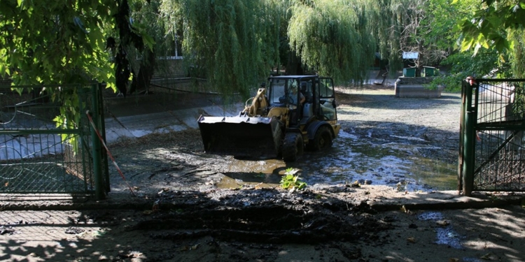 В Николаевском зоопарке началась операция «Чистые пруды» (ФОТО)