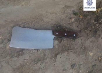 В Николаеве внук бросался на бабушку с ножом и мачете (ФОТО)