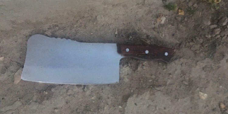 В Николаеве внук бросался на бабушку с ножом и мачете (ФОТО)