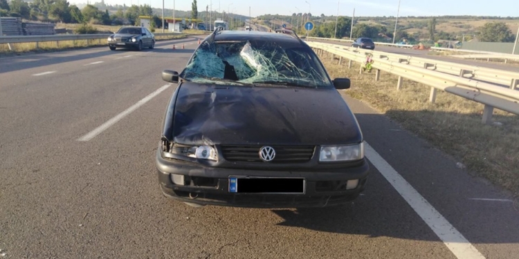 В Кривом Озере на дороге сбили женщину – 32-летняя пострадавшая умерла в больнице (ФОТО)